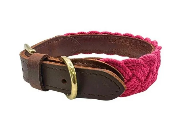 1ea Baydog Medium Pink Lily Seaside Collar - Hard Goods